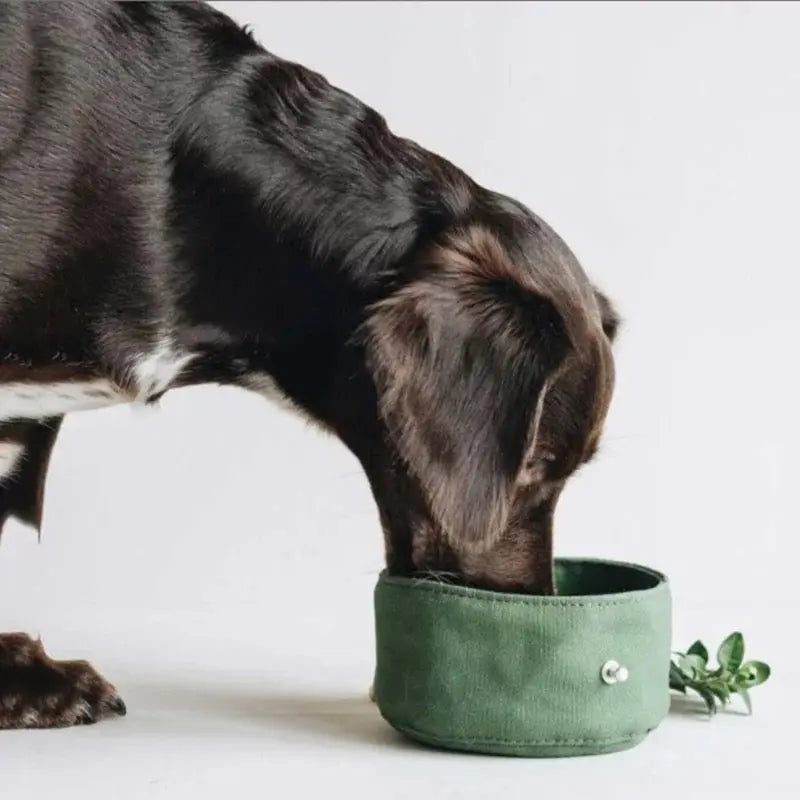 Dog Travel Water Bowl - Glen Ogal