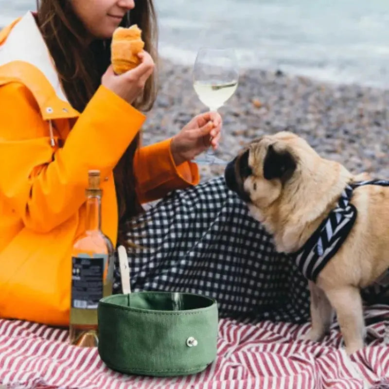 Dog Travel Water Bowl - Glen Ogal