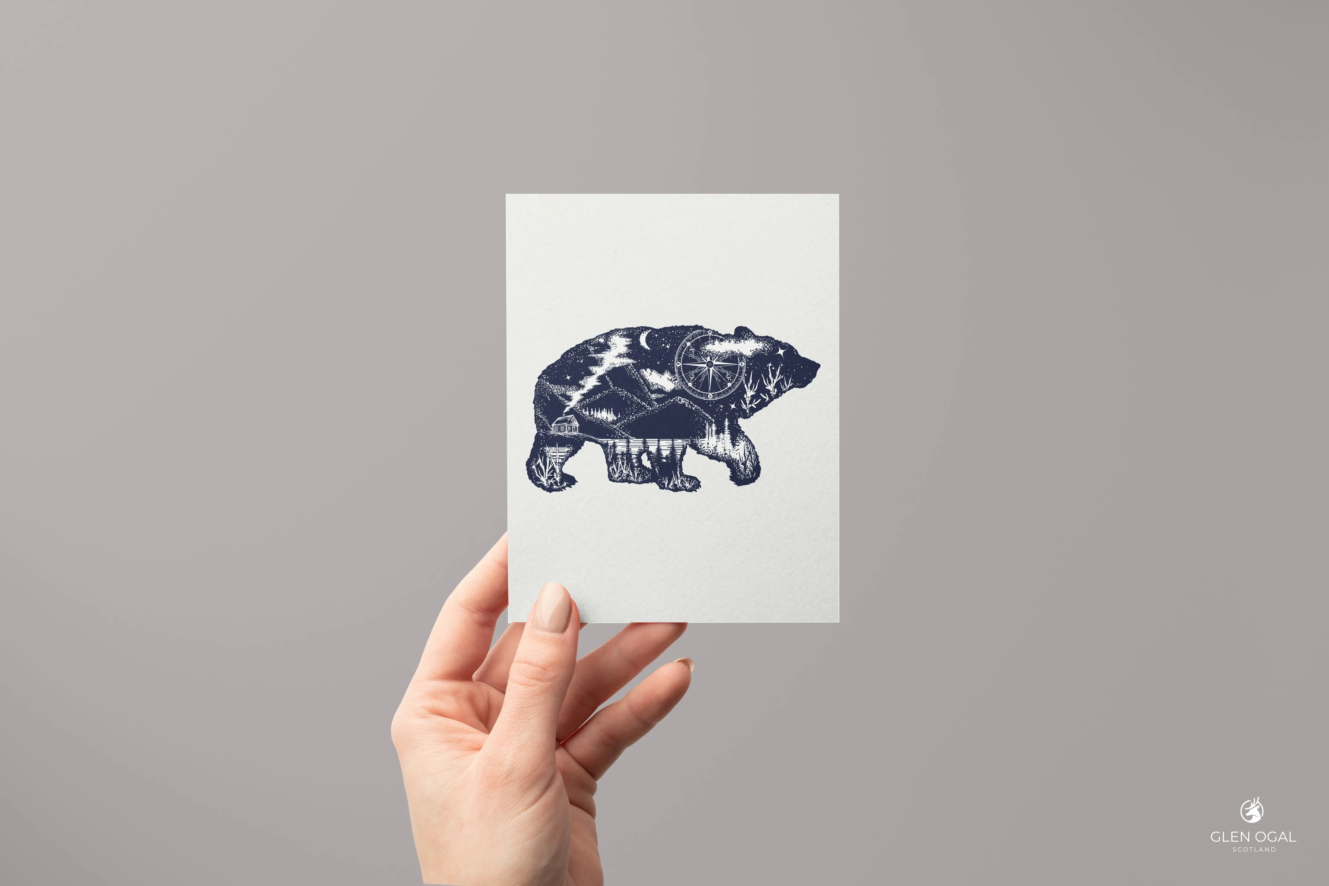 Pack of 5 Explorer Bear Note Cards - Glen Ogal