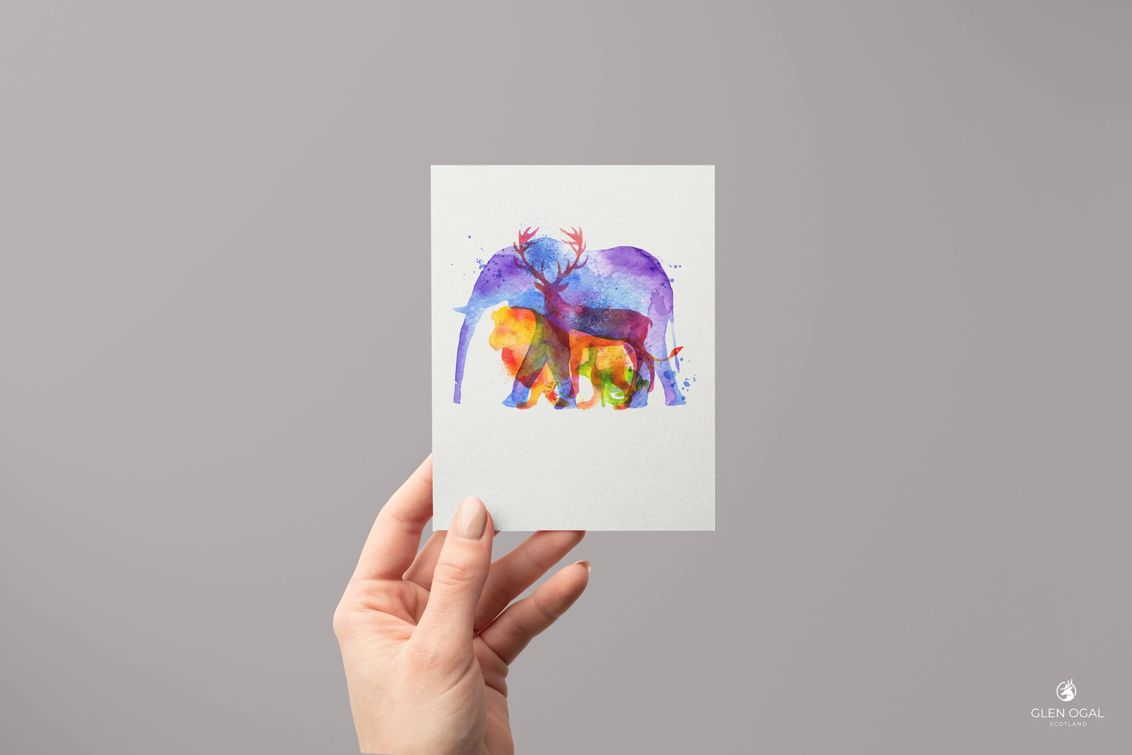 Pack of 5 Watercolour Animal Note Cards - Glen Ogal