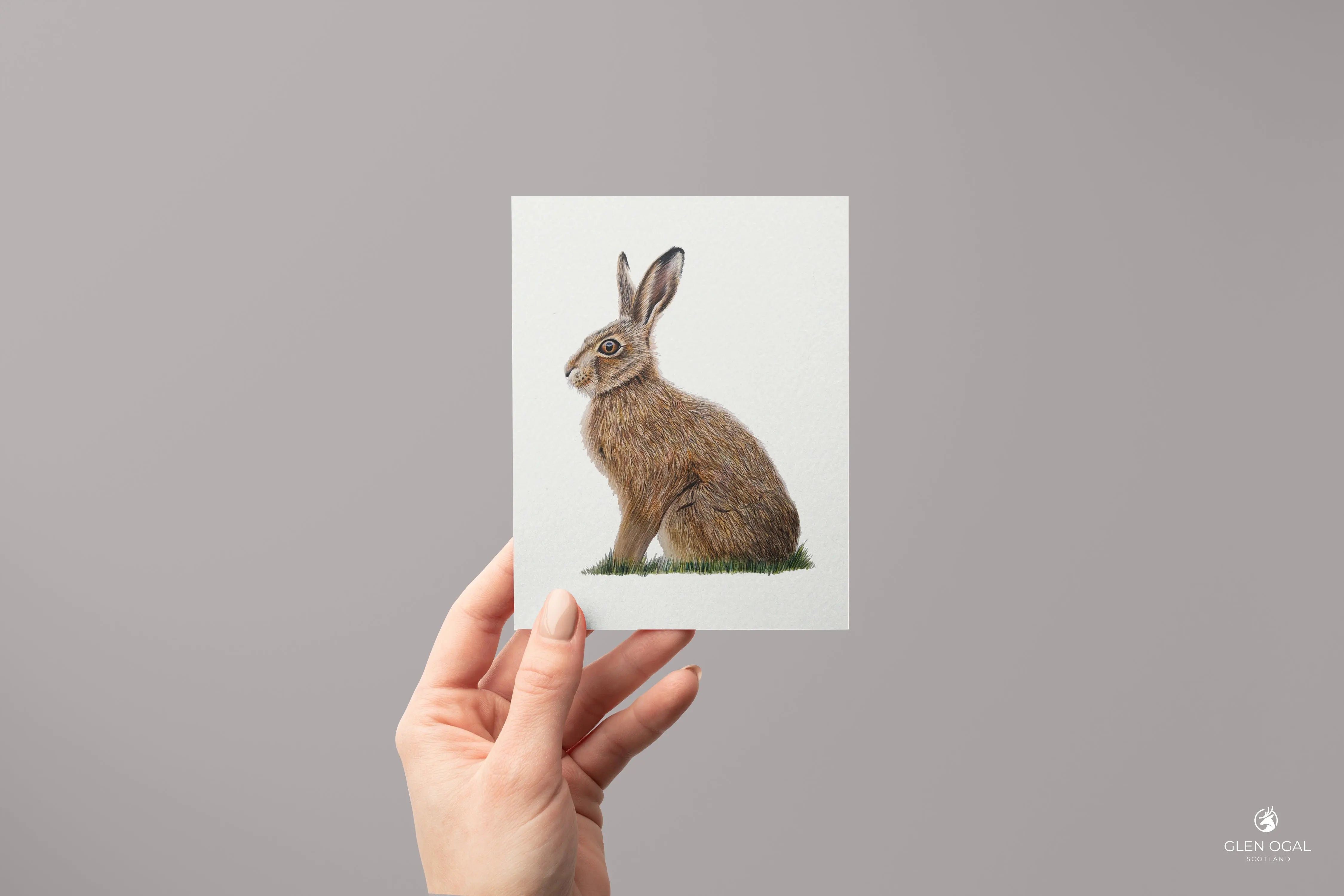 Pack of 5 Wild Hare Note Cards Glen Ogal