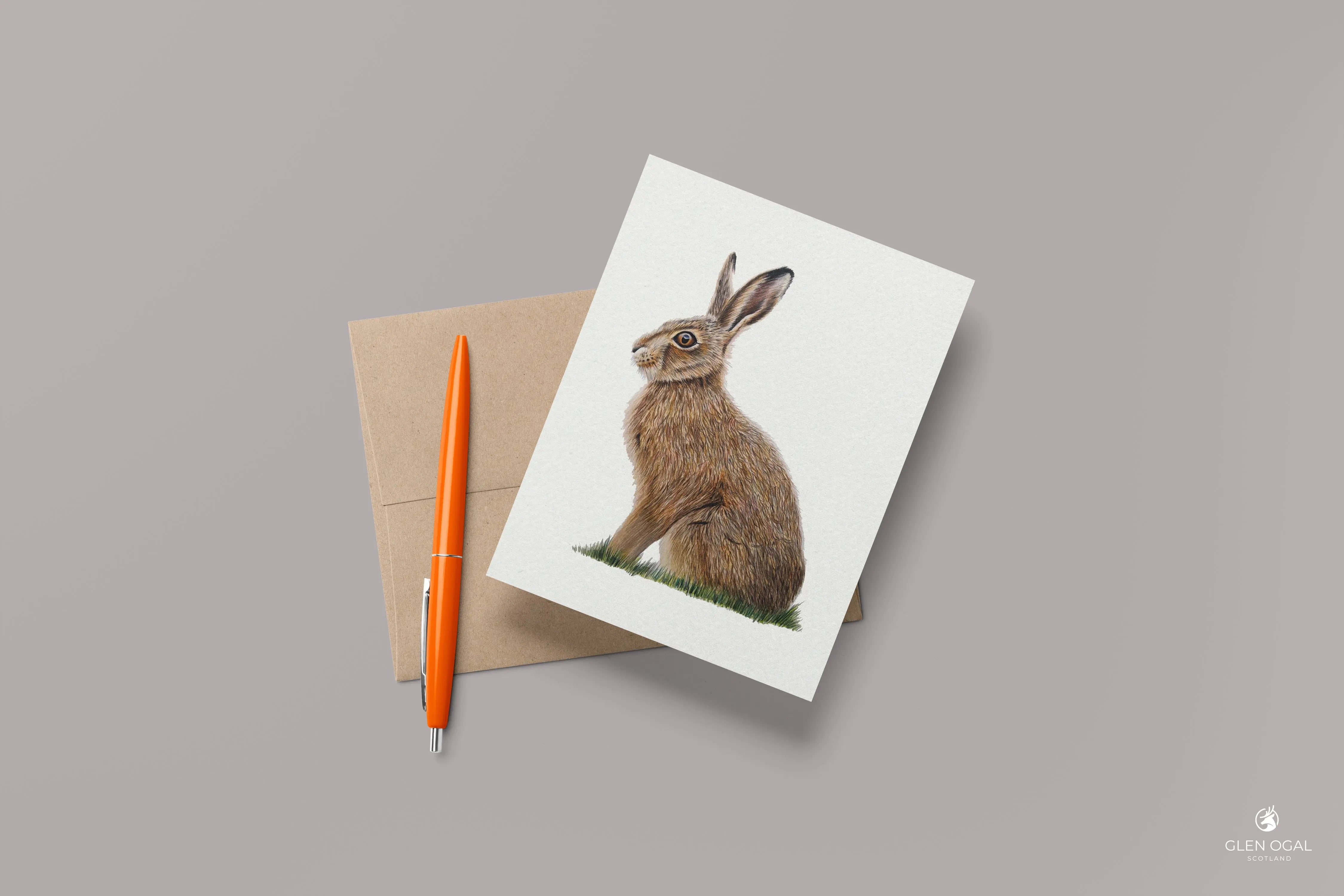 Pack of 5 Wild Hare Note Cards Glen Ogal