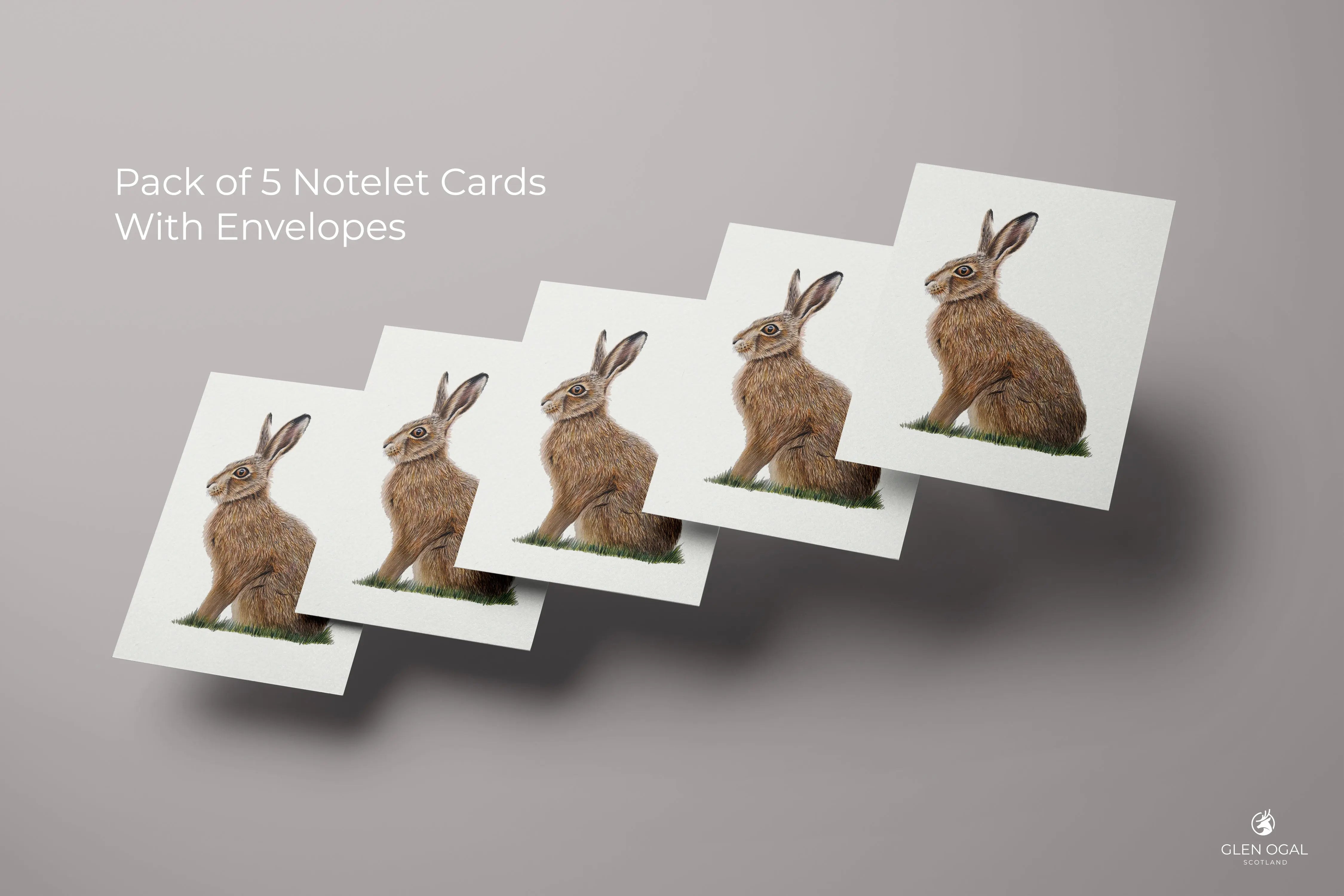 Pack of 5 Wild Hare Note Cards Glen Ogal