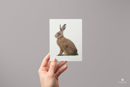 Pack of 5 Wild Hare Note Cards