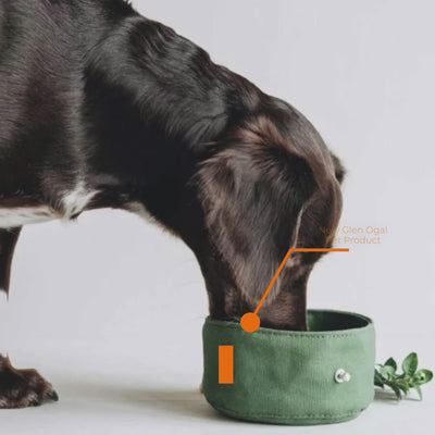 Bol d'eau de voyage pour chien